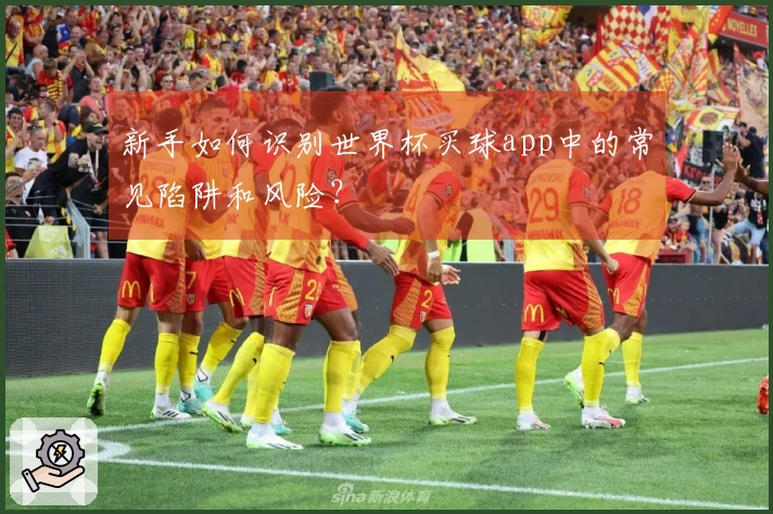 新手如何识别世界杯买球app中的常见陷阱和风险？