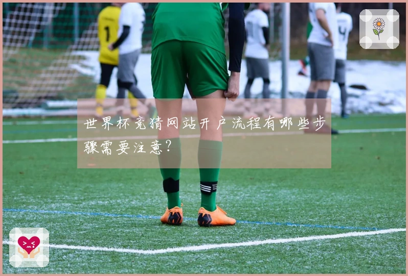 世界杯竞猜网站开户流程有哪些步骤需要注意？