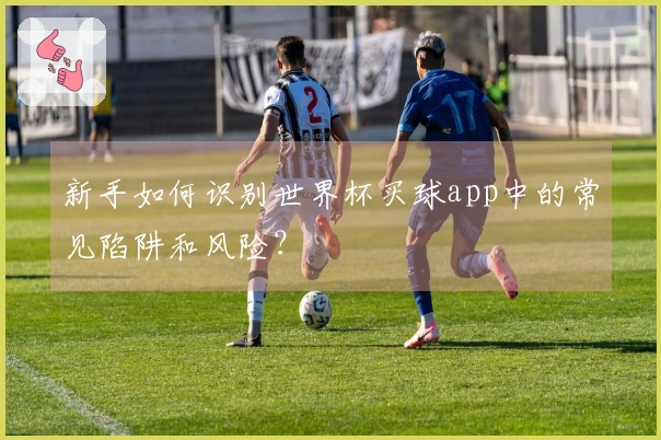 新手如何识别世界杯买球app中的常见陷阱和风险？