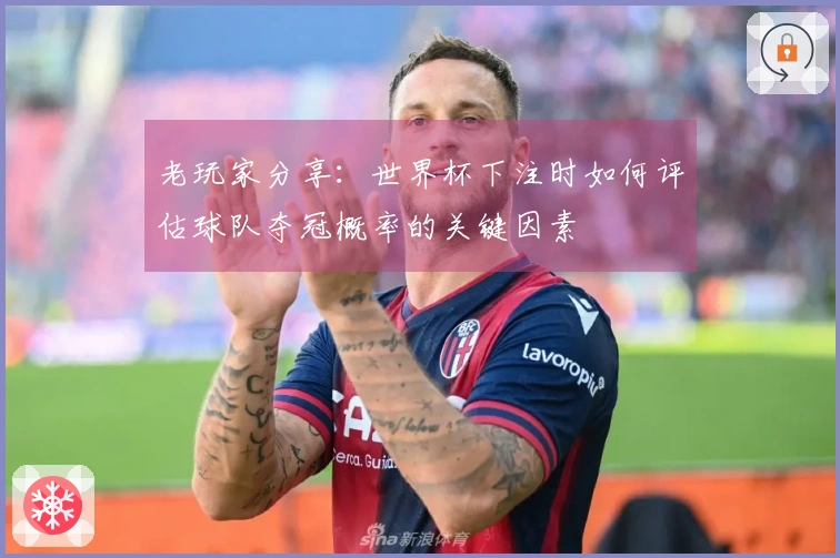 老玩家分享：世界杯下注时如何评估球队夺冠概率的关键因素