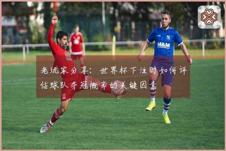 老玩家分享：世界杯下注时如何评估球队夺冠概率的关键因素